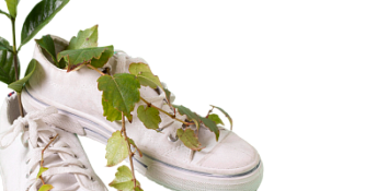 Обувь и кожгалантерея