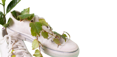 Обувь и кожгалантерея